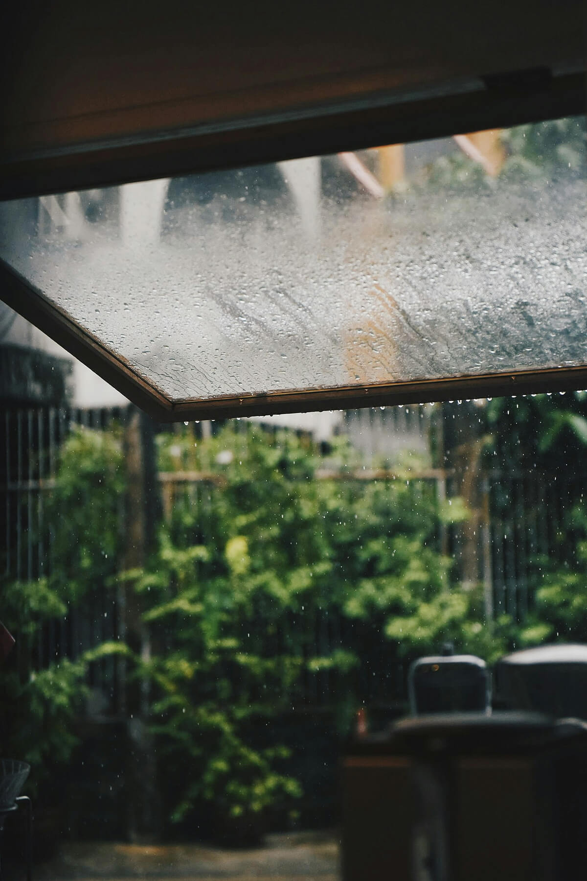 When the Rain Belongs to Everyone